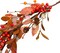 Leaves Garland Harvest Garland with Berries Fall Decorations for Wall Window Home Decor